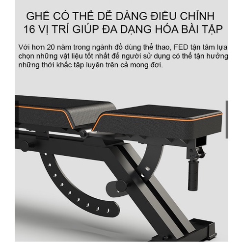 Ghế Tập Tạ Điều Chỉnh LIONSPORT DD04