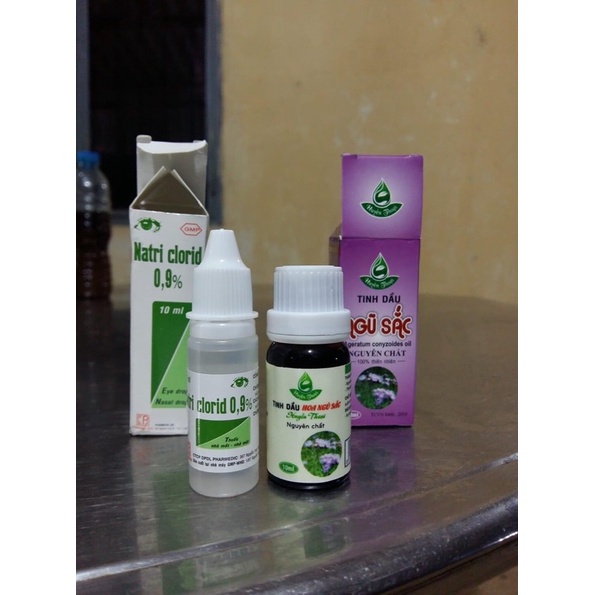 Tinh dầu hoa ngũ sắc Huyền Thoại, tinh dầu hoa cứt lợn, tphcm