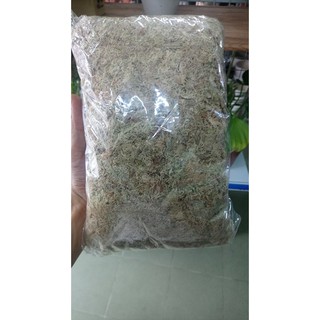 DỚN TRẮNG TRỒNG LAN 100gr