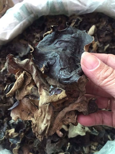 Mộc nhĩ rừng Sa Pa loại ngon 200g | BigBuy360 - bigbuy360.vn