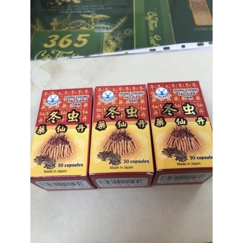 Đông Trùng Dược Tiên Đơn