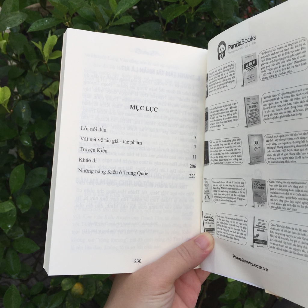 Sách Truyện Kiều