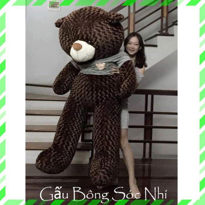 Gấu Bông Teddy Siêu To Khổng Lồ Size 2m 💥 FREESHIP 💥 Gấu Bông Sóc Nhí - Tặng 1 Gấu Bông Trà Sữa