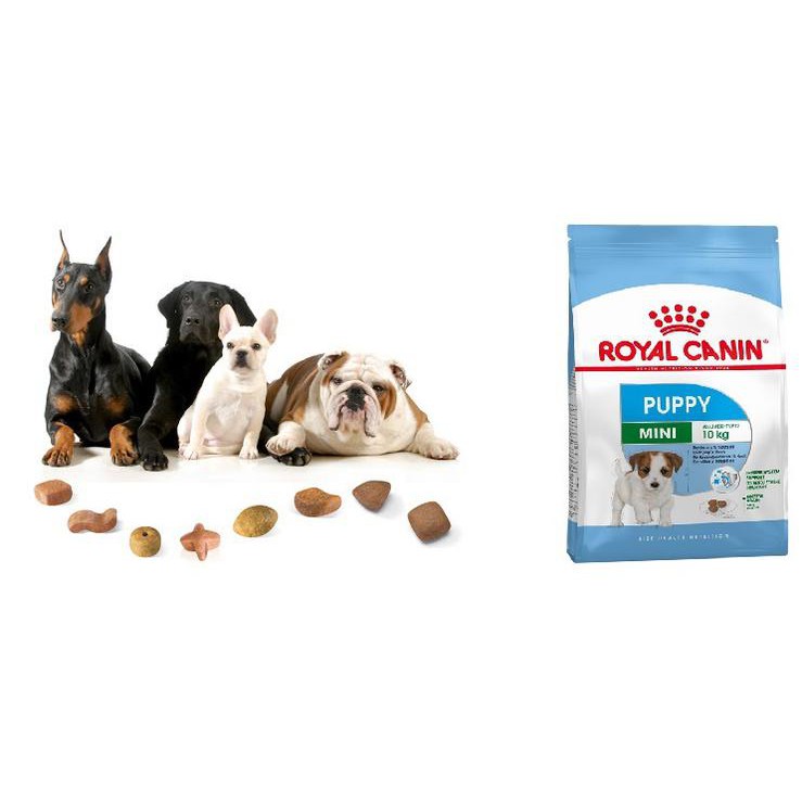 8kg,ROYAL CANIN MINI PUPPY Dành cho chó cỡ Mini  và đang trong giai đoạn Puppy từ 2 đến 10 tháng tuổi