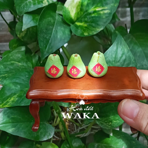 Set Tết- Cặp Bưởi Mini 01- Mô hình 1/12