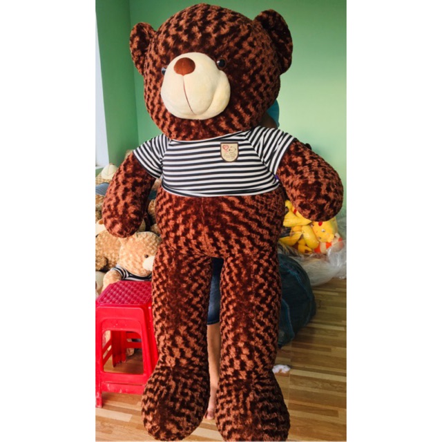 Gấu bông Teddy khổ vải 1m8 chiều cao 1m6