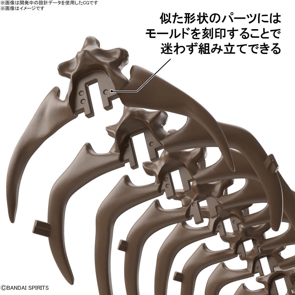 Mô hình lắp ráp 1/32 Imaginary Skeleton Triceratops Bandai 4573102618016
