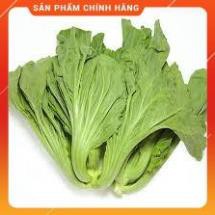 HẠT GIỐNG CẢI BẸ DƯA CAO SẢN