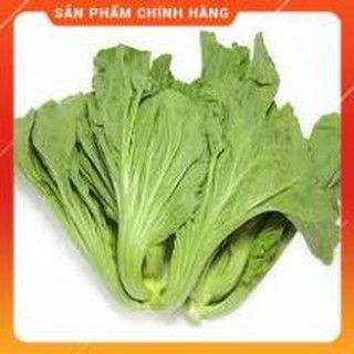 HẠT GIỐNG CẢI BẸ DƯA CAO SẢN