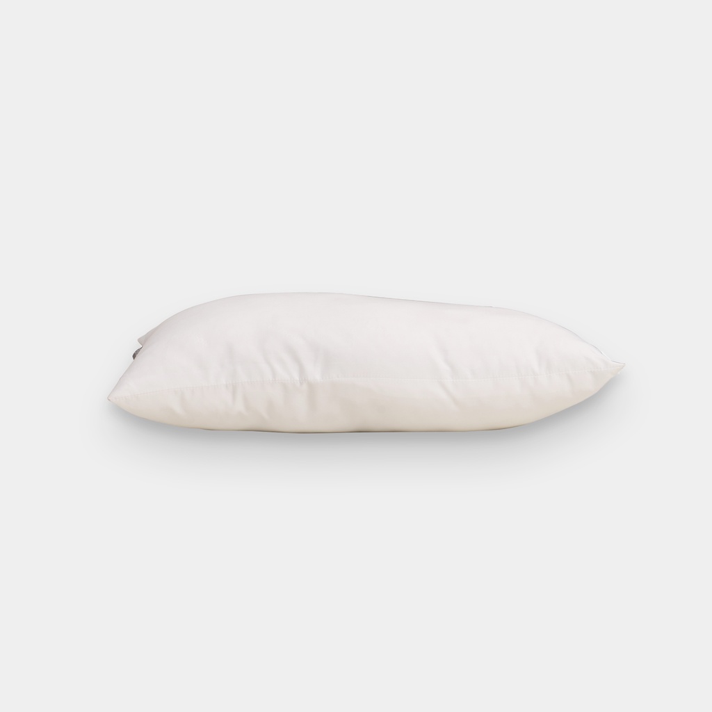 Ruột gối Everon 35x50cm