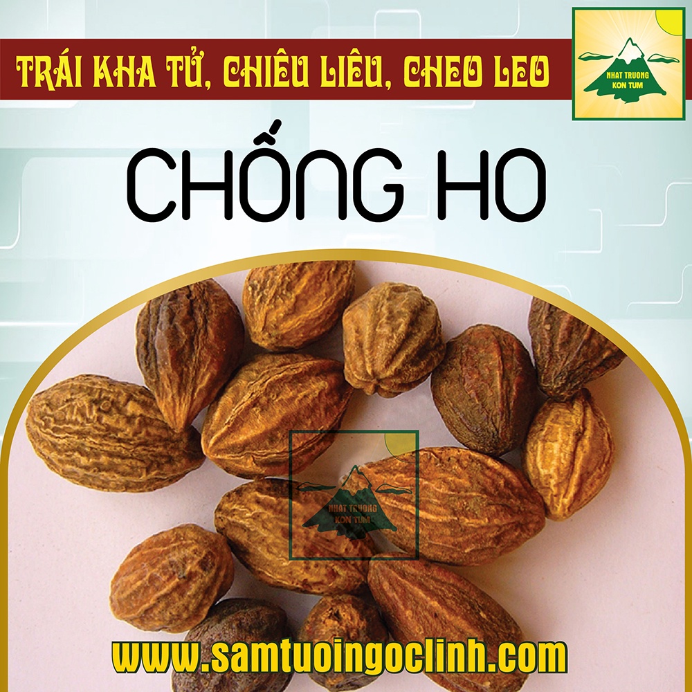 Kha tử - Giúp Sạch Phổi - Trừ Ho - Khản Tiếng 100g