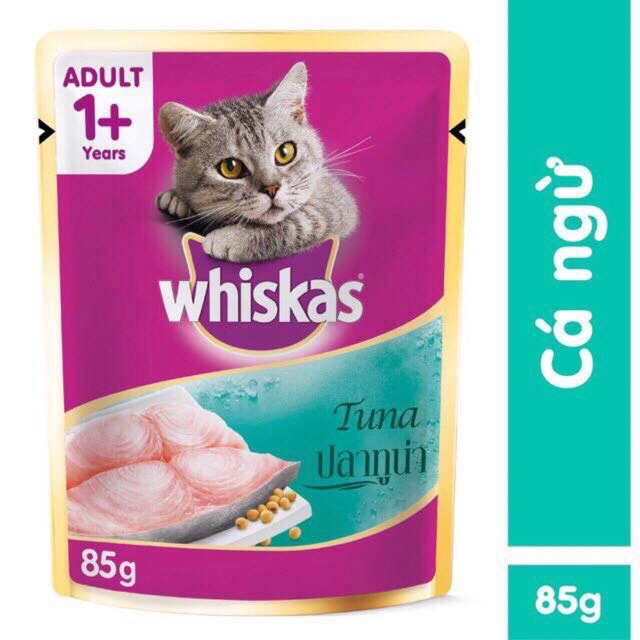 SỐT WHISKAS JUNIOR CHO MÈO CON VỊ CÁ NGỪ