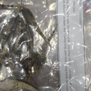 COMBO 10 CON HẢI YẾN