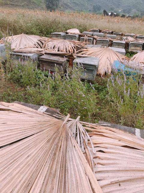 MẬT ONG BẠC HÀ CHUẨN HÀ GIANG 1LÍT