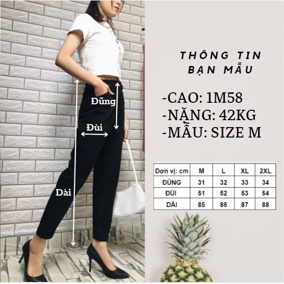 [Mã FASHIONT4WA giảm 10K đơn 50K] Quần Baggy Đũi Nữ, Quần Đũi Nữ Cạp Chun 5 Cúc Bọc, Chất Đũi Xước Hàn Thoáng | BigBuy360 - bigbuy360.vn