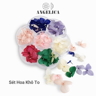 Set Hoa Khô Bản To Trang Trí Móng ANGELICA SHKT