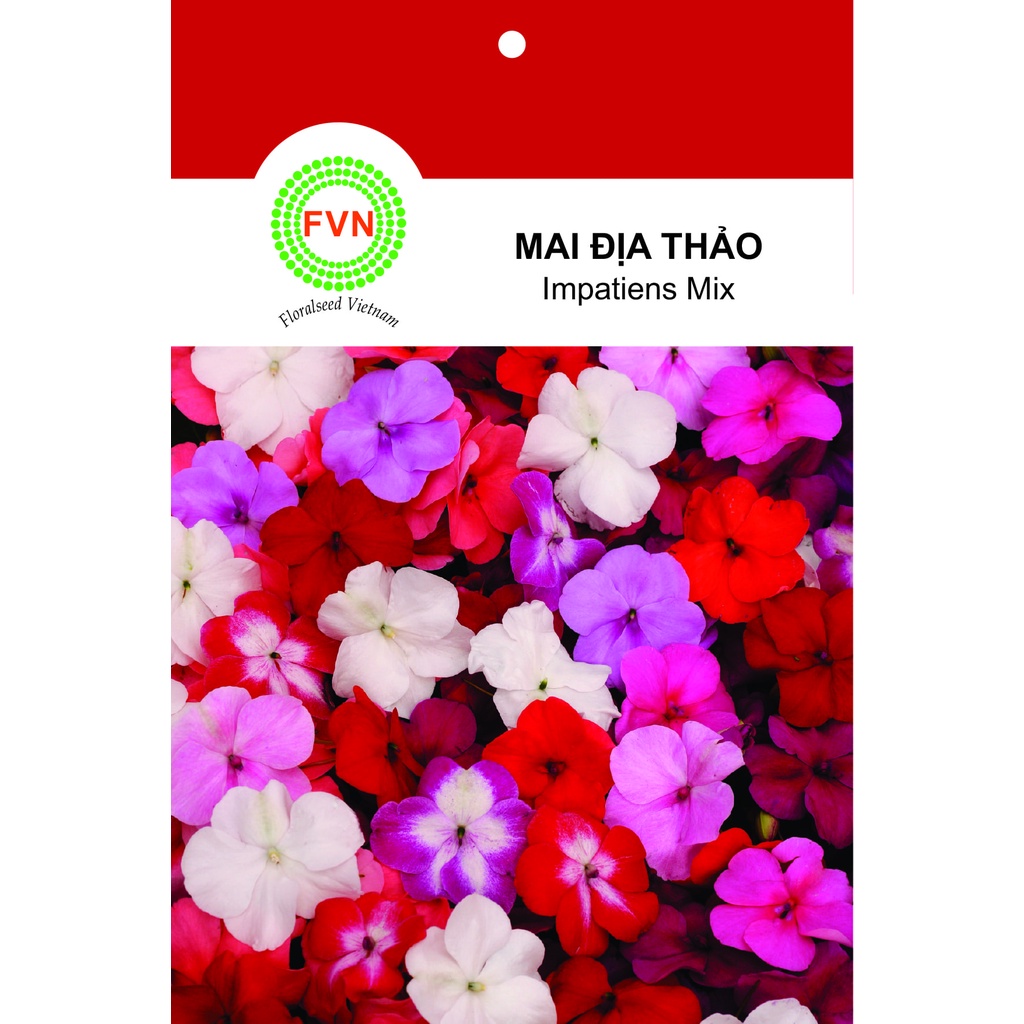 HẠT GIỐNG HOA MAI ĐỊA THẢO ĐƠN NHIỀU MÀU FVN GÓI 15 HẠT - IMPATIENS MIX