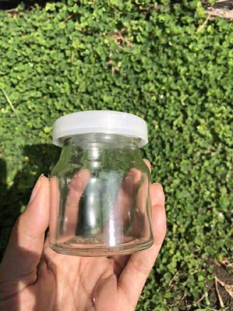 Bộ 12 Hũ Thủy Tinh Làm Sữa Chua 100ML Cẩm Đạt