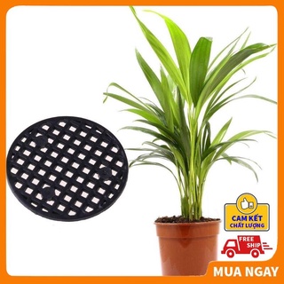 Lưới đục lỗ lót đáy chậu tròn 4.5cm