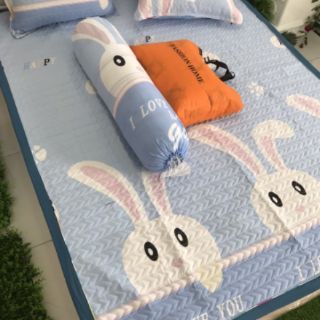 sét thảm gối đũi siêu mát