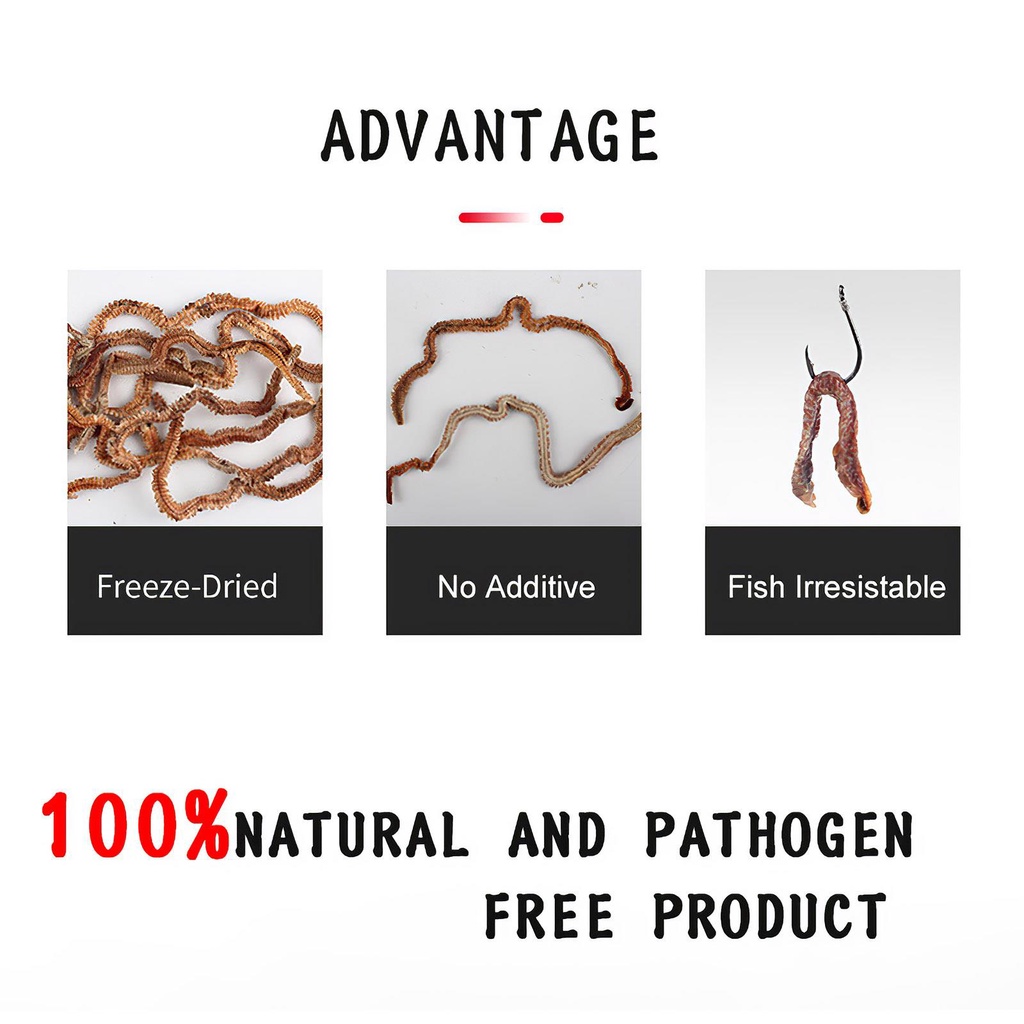 [Kitch] Mồi Câu Cá Khô Cát Tự Nhiên Thân Thiện Với Môi Trường Dễ Sử Dụng