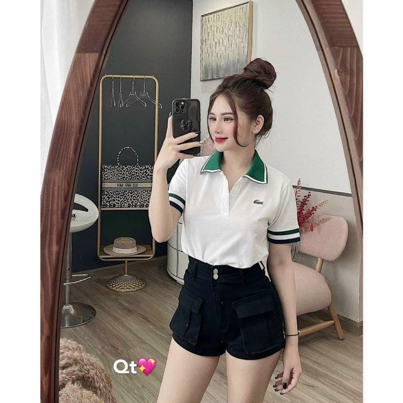 Áo Polo Thêu Cổ Xanh Chất Đẹp Có Size