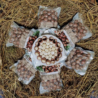Hạt Mắc ca ( Macadamia) Đắk Lắk 1000gr