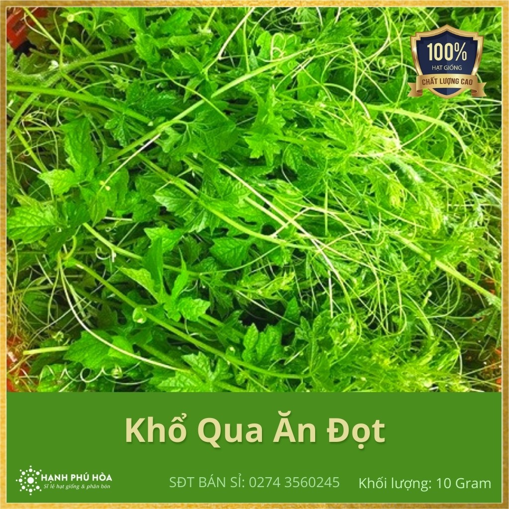 Hạt Giống Khổ Qua Ăn Đọt NNX 10g- Trồng Quanh Năm, Sinh Trưởng Mạnh, Kháng Bệnh Virus Rất Tốt, Khả Năng Đậu Trái Cao