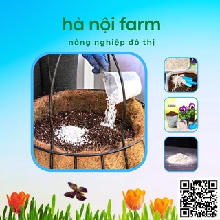Đá perlite trân châu siêu nhẹ - Túi 10Lit