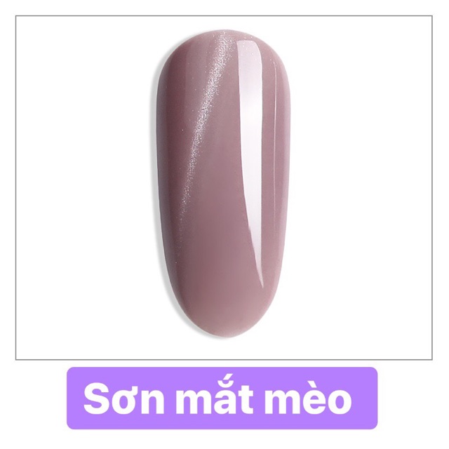 Sơn gel As mắt mèo tím ZM ( chai đen )