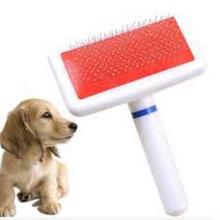 Lược chải lông chó mèo bàn chông nhựa trắng