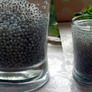 Mũ trôm thỏi Ninh Thuận 1kg
