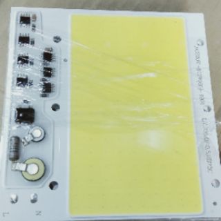 Nhân led 220V 100W