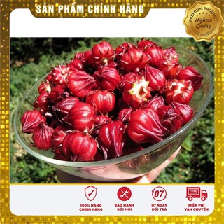 HẠT GIỐNG HOA ATISO ĐỎ gói 10 hạt