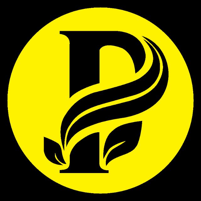 TOP WHITE PHỤNG NGUYỄN