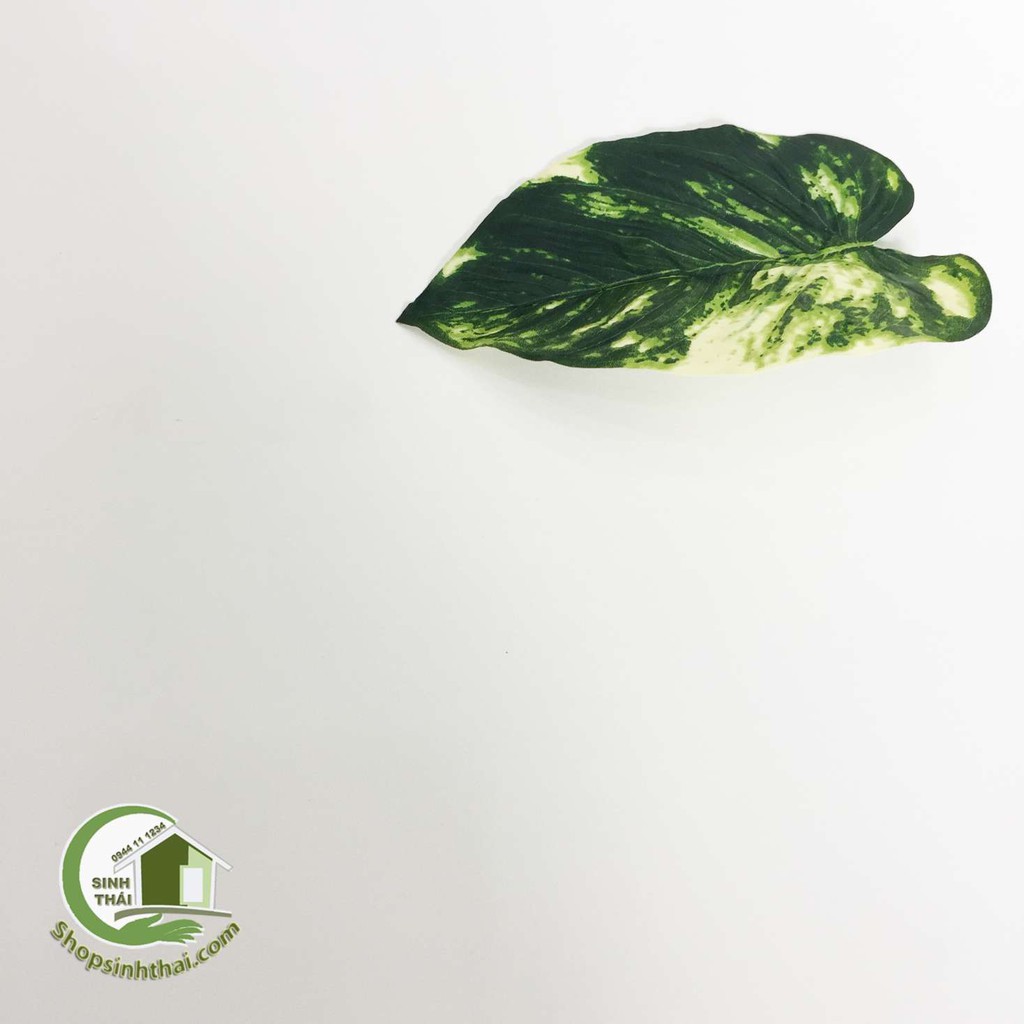 Phông nền giấy dán tường màu trắng nhám -  có sẵn keo - thảm chụp hình ảnh sản phẩm