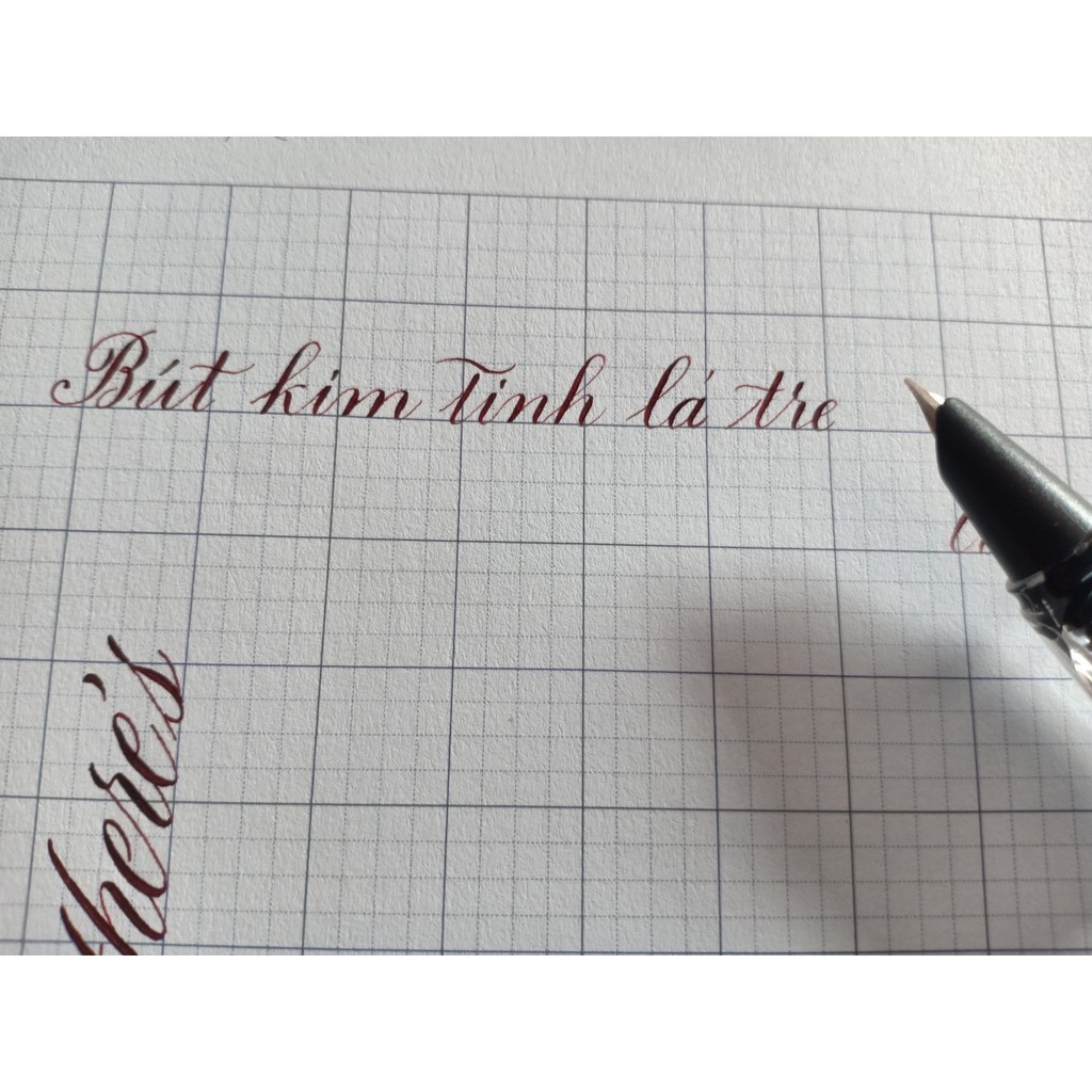 Bút Máy Ban Chữ Việt Kim Tinh Lá Tre cl016