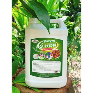 Can 5L- Nước tẩy rửa đa năng enzym bồ hòn quế đậm đặc
