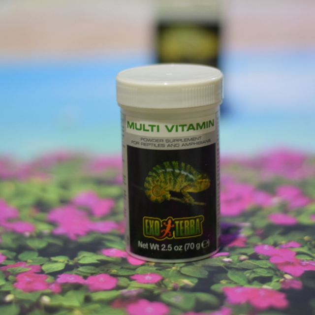 VITAMIN cho bò sát