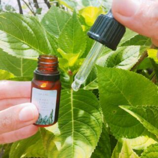 SERUM TẢO BIỂN SOHERBS