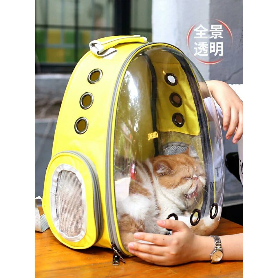 Balo trong suốt dành cho chó mèo