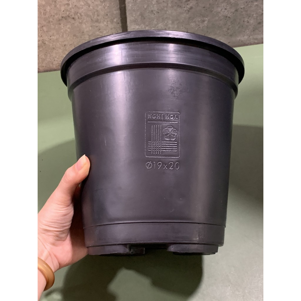 Chậu nhựa cứng 19x20 (cm) trồng cây TK màu đen