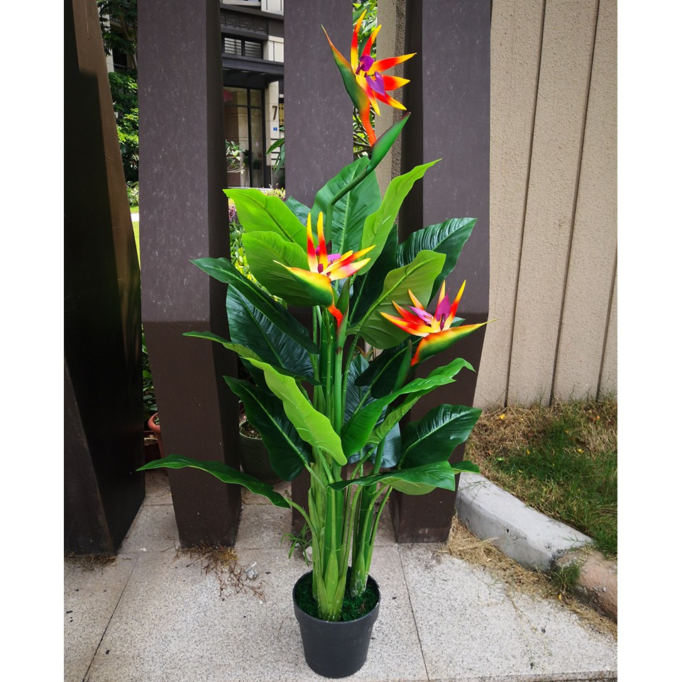 Cây Giả 🌺 Cây Hoa Thiên Điểu Cao Su 3 Thân