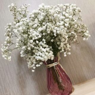 Bình hoa thủy tinh (hàng có sẵn)