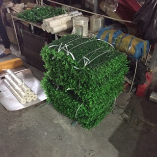 Combo 15 tấm cỏ cải xoong