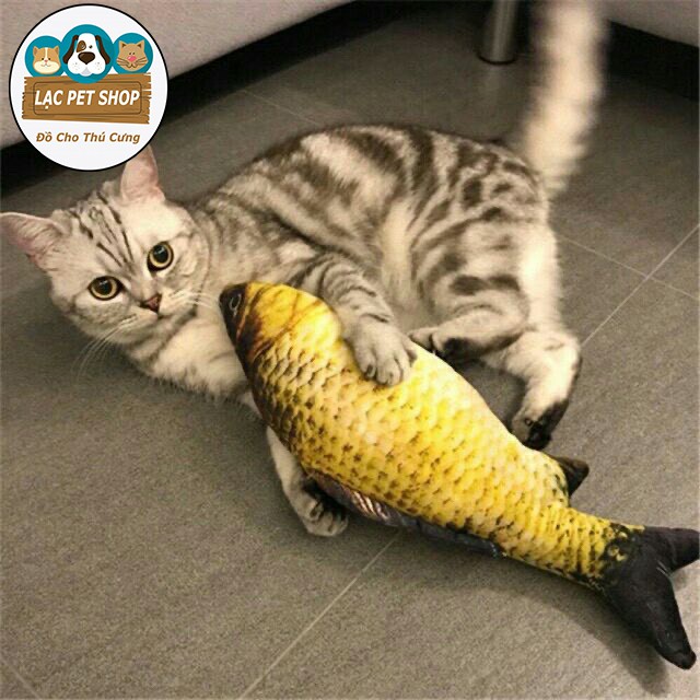 Cá Catnip Đồ Chơi Bằng Bông Cho Mèo - 2 Cỡ To Nhỏ