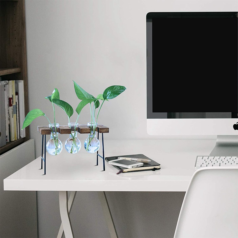 Chậu Trồng Cây Thủy Tinh Kèm Giá Đỡ Gỗ 3 Bóng Đèn Độc Đáo Trang Trí Nhà Cửa / Văn