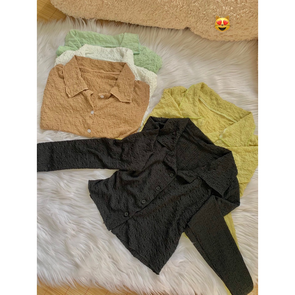 Áo xốp tay dài polo cài nút trơn cực hot cho mùa thu đông , chất thun xốp dày dặn