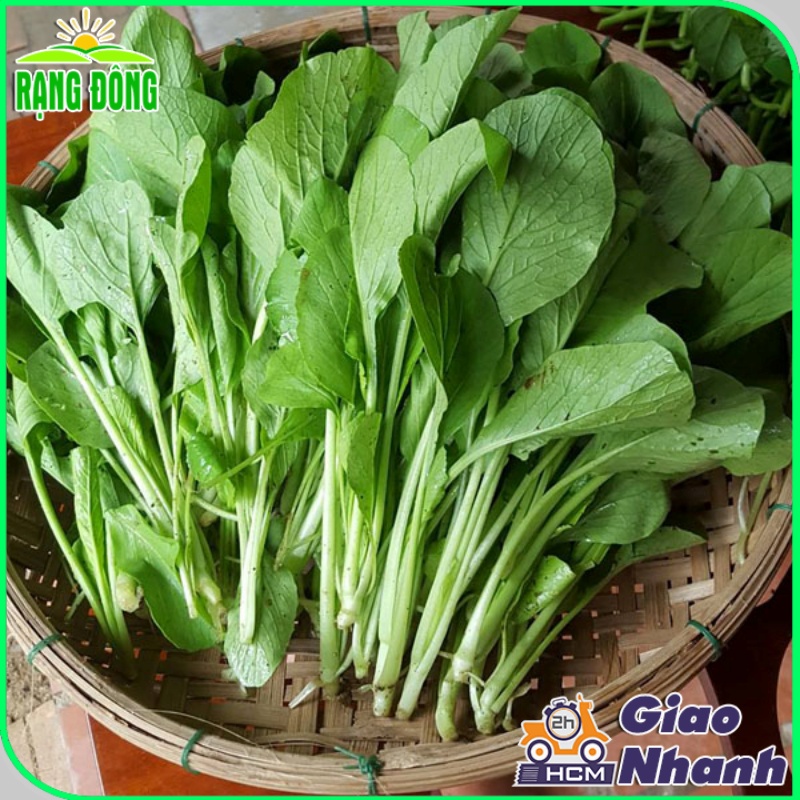 Hạt Giống Cải Ngọt Giòn, Cây To, Năng Suất Cao, Dễ Trồng (gói 20 gram) - Hạt giống Rạng Đông