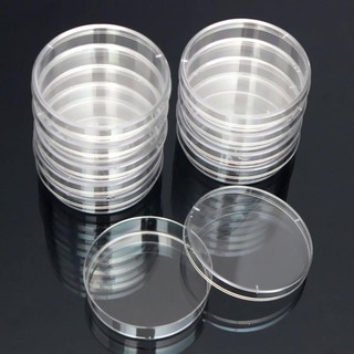 Đĩa petri nhựa 60x15mm tiệt trùng - Túi 10 cái, Non-pyrogenic, Free DNA